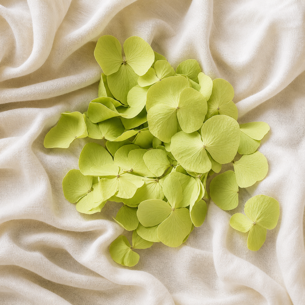 Pétales d'hortensias vert séchés sur lin ivoire avec carte The Originea — confettis mariage naturels