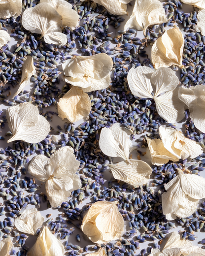 Mélange confettis lavande & hortensia blanc séchés — flat lay macro biodégradable | The Originea