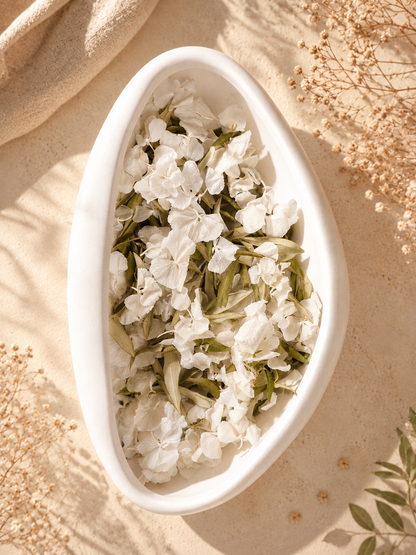 Feuilles d'olivier séchées et pétales d'hortensia blanc pour confettis mariage élégant | The Originea