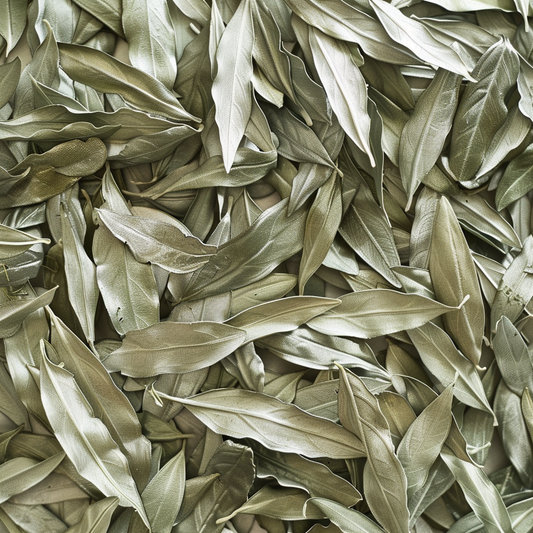 Gros plan sur feuilles d'olivier séchées vert argenté – texture naturelle pour confettis mariage | The Originea