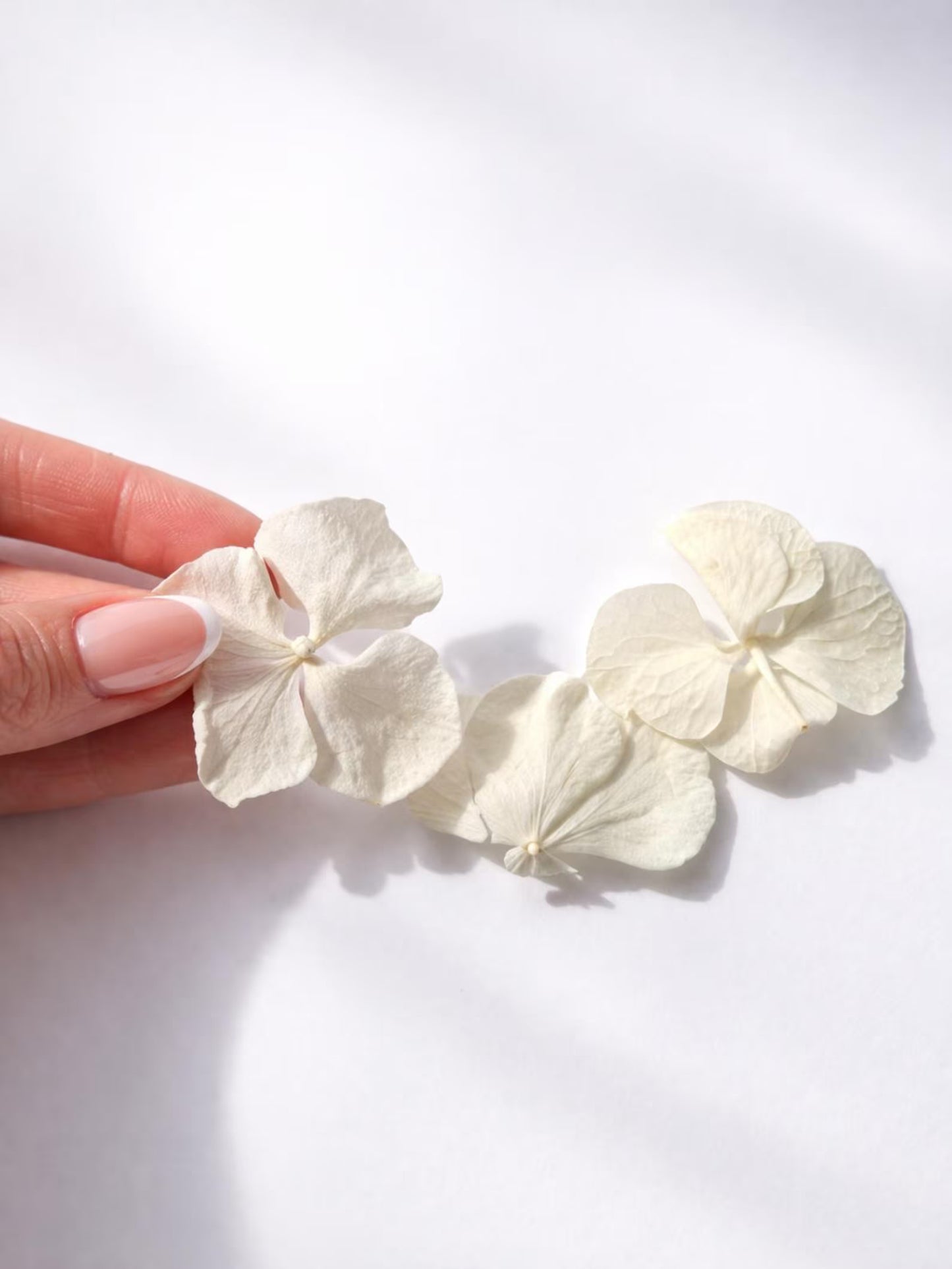 Pétales d'Hortensia Blancs Séchés — Confettis Mariage Bohème Chic, packaging artisanal — The Originea