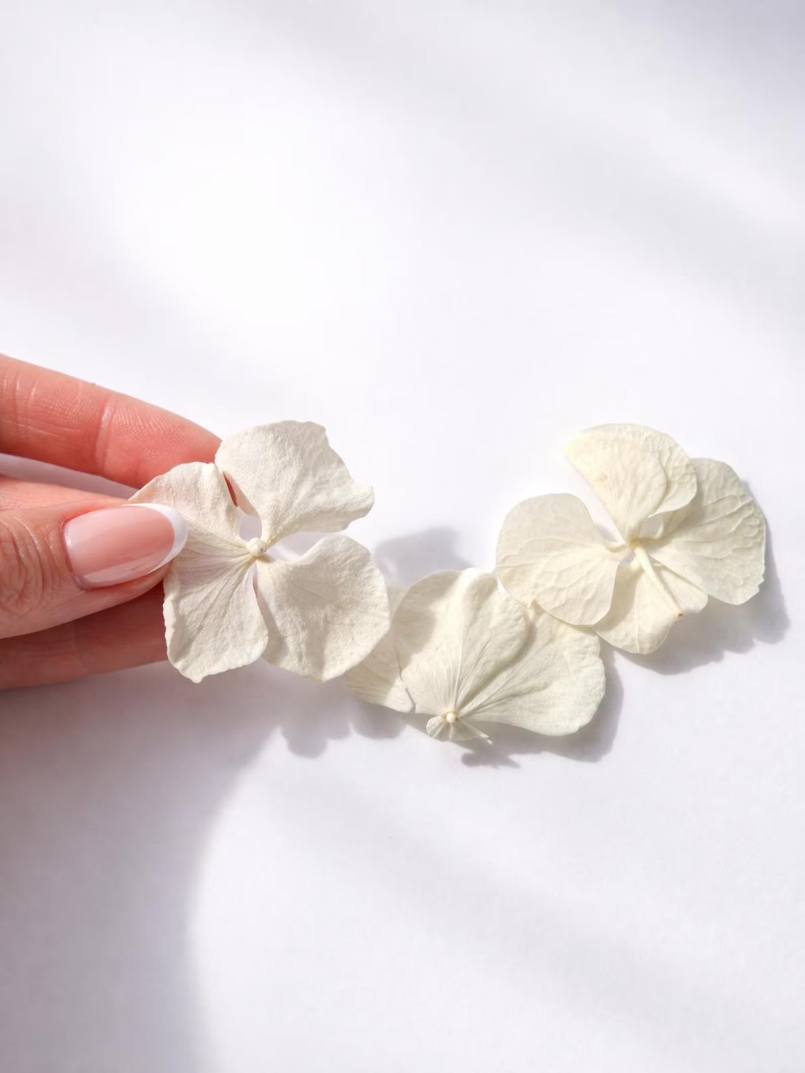 Pétales d'Hortensia Blancs Séchés — Confettis Mariage Bohème Chic, packaging artisanal — The Originea