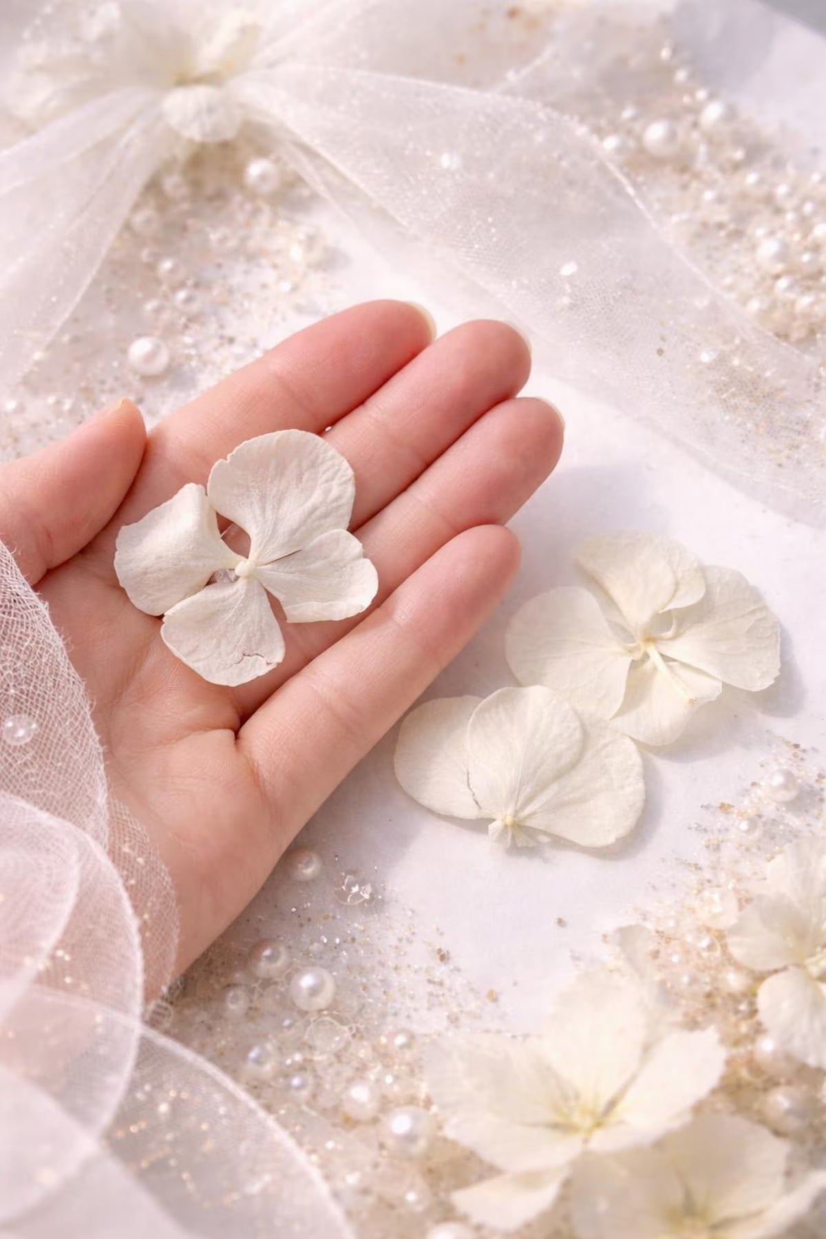 Pétales d'Hortensia séché Rose - Confettis fleurs Mariage Biodégradables – PETALES BOHEME