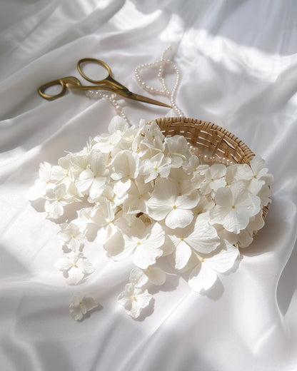 Pétales d'Hortensia Blancs Séchés — Confettis Mariage Bohème Chic, détail artisanal — The Originea
