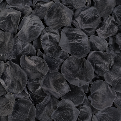 Pétales de rose noir conservés — macro plein cadre texture veloutée profonde, confettis mariage glamour biodégradables | The Originea
