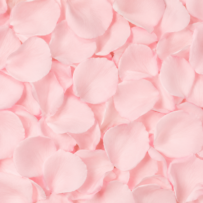 Pétales de rose pâle séchés — macro plein cadre teinte nacrée rose poudré, confettis mariage biodégradables | The Originea