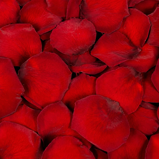 Pétales de rose rouge foncé séchés — macro plein cadre texture veloutée profonde, confettis mariage biodégradables | The Originea