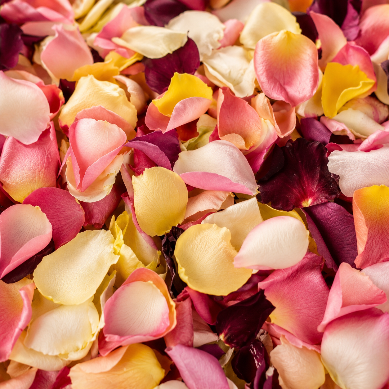 Sortie de cérémonie joyeuse avec confettis de pétales multicolores rose, jaune et blanc éparpillés | The Originea