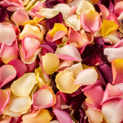 Sortie de cérémonie joyeuse avec confettis de pétales multicolores rose, jaune et blanc éparpillés | The Originea