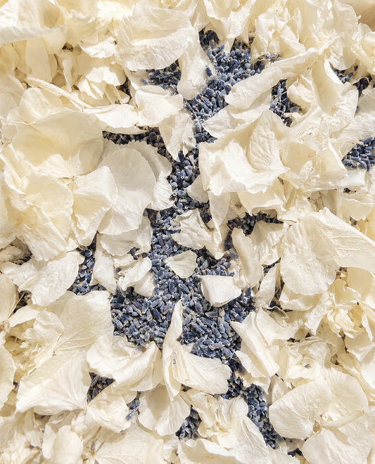 Pétales d'hortensia blanc et épis de lavande séchés — confettis mariage naturels | The Originea