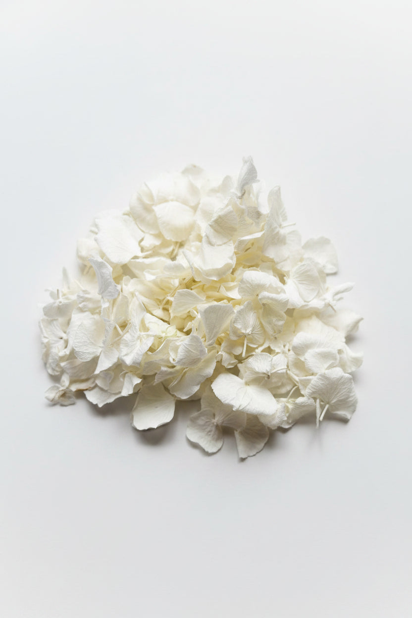 Confettis pétales d'hortensia blancs séchés — conditionnement artisanal | The Originea