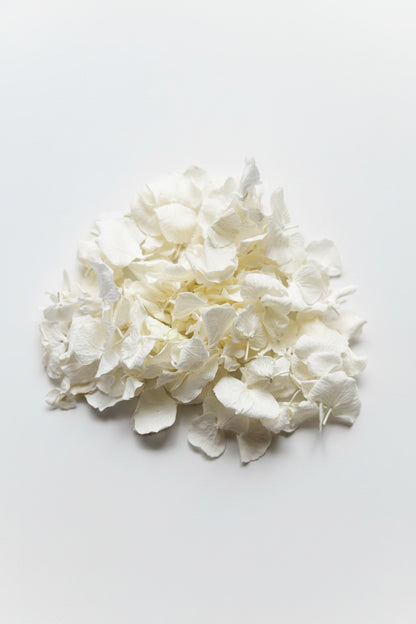 Confettis pétales d'hortensia blancs séchés — conditionnement artisanal | The Originea