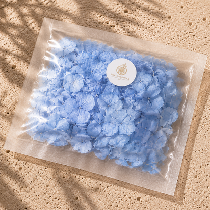 Pétales d'hortensias bleu clair séchés en sachet transparent — confettis biodégradables pour mariage The Originea