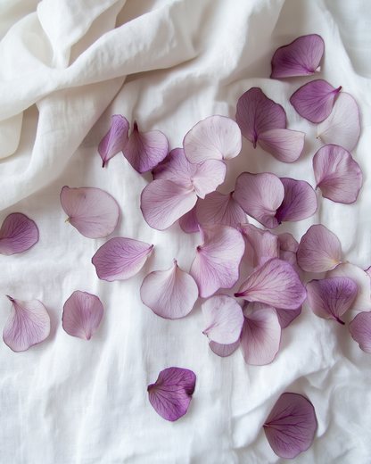 Cône en papier kraft rempli de pétales d'hortensias lavande, noué avec ruban crème — confettis mariage The Originea