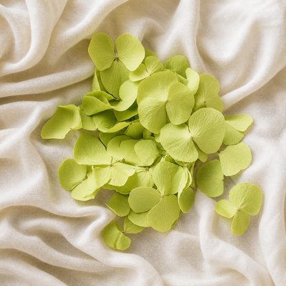 Pétales d'hortensias vert séchés sur lin ivoire avec carte The Originea — confettis mariage naturels