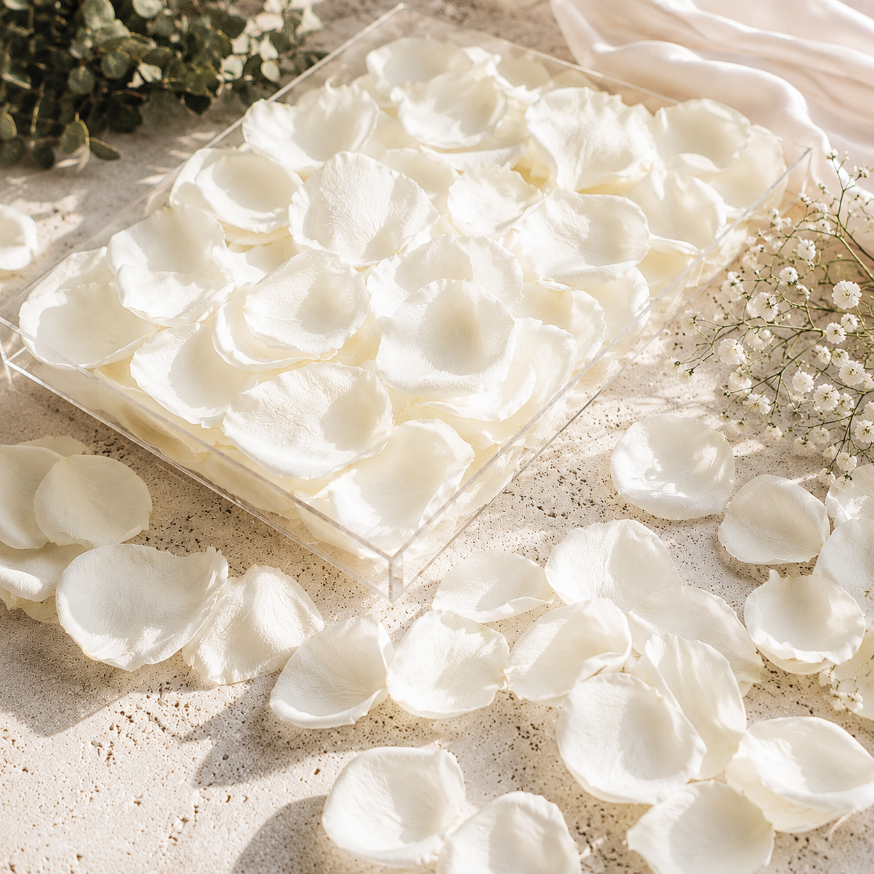 Boîte de pétales de rose blanc séchés entourée de gypsophile et d'eucalyptus — confettis mariage The Originea