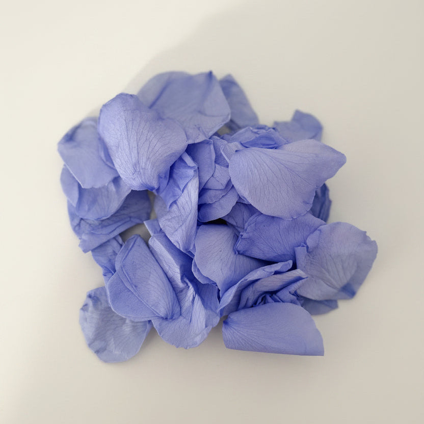 Pétales de rose bleu violet conservés vrac sur marbre | The Originea