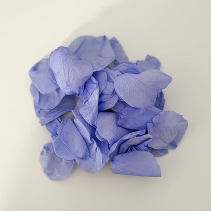 Pétales de rose bleu violet conservés vrac sur marbre | The Originea