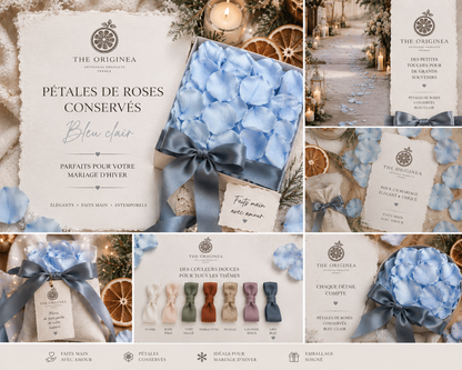 Collection de pétales de rose bleue conservés The Originea — tailles, couleurs et conditionnement