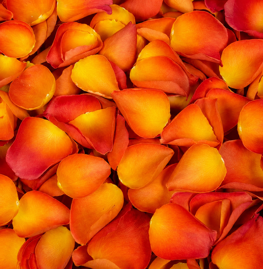 Pétales de rose orange conservés — confettis mariage biodégradables | The Originea