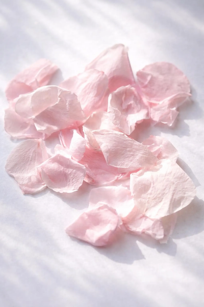Pétales de rose pâle séchés éparpillés sur tissu blanc — lancer de confettis mariage | The Originea