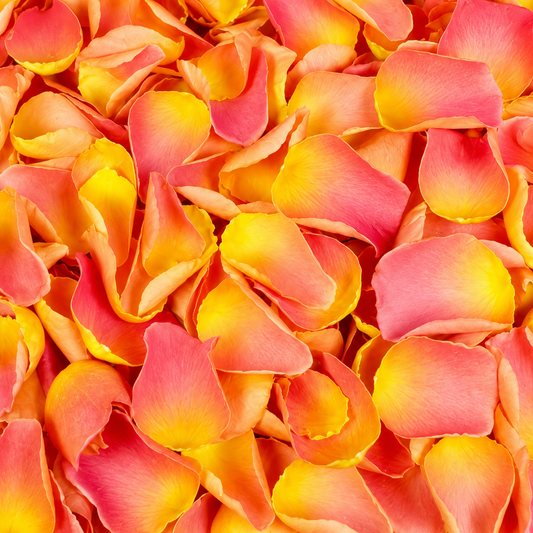 Pétales de rose rose et pêche séchés — macro plein cadre des teintes corail, pêche et jaune doré, confettis mariage biodégradables | The Originea