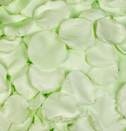 Pétales de rose vert menthe conservés — confettis mariage biodégradables | The Originea