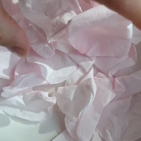 Pétales de rose pâle séchés confettis mariage — vidéo | The Originea
