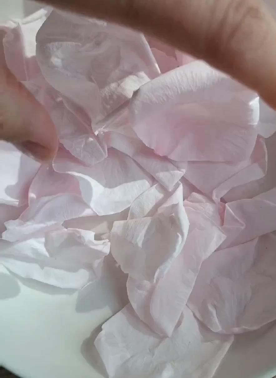 Pétales de rose pâle séchés confettis mariage — vidéo | The Originea