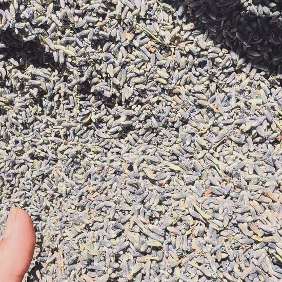 Confettis lavande pure AOP Provence — vidéo lifestyle mariage biodégradable | The Originea