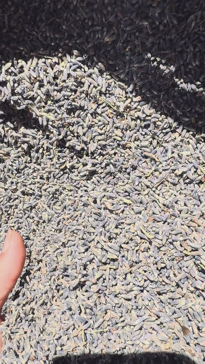 Confettis lavande pure AOP Provence — vidéo lifestyle mariage biodégradable | The Originea