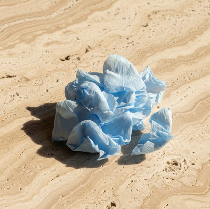 Dried Blue Rose Petals — Biodegradable & Poetic Wedding Confetti | The Originea