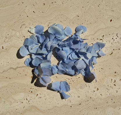 Pétales d'hortensias Bleu Clair — Confettis Mariage 100% Naturels
