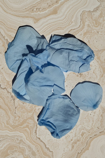 Dried Blue Rose Petals — Biodegradable & Poetic Wedding Confetti | The Originea