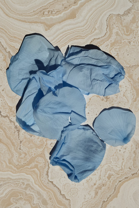 Pétales de Rose Bleue Séchés — Confettis Mariage Biodégradables & Poétiques | The Originea